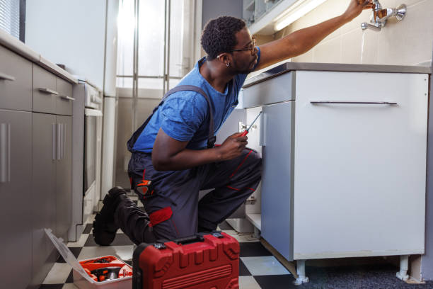 Best Local Plumber Services  in Gregory, SD